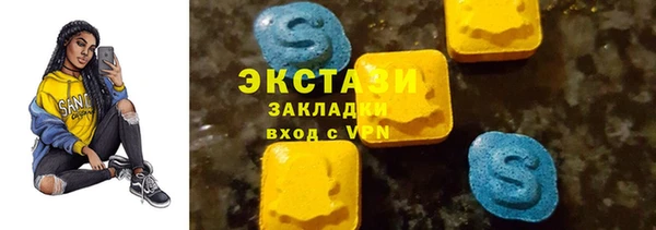 индика Арсеньев