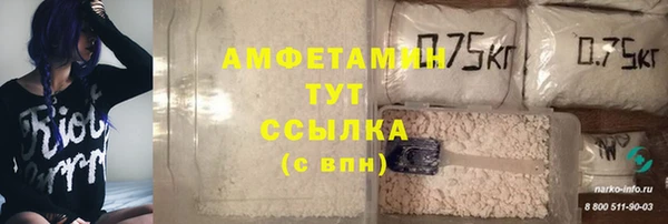 индика Арсеньев