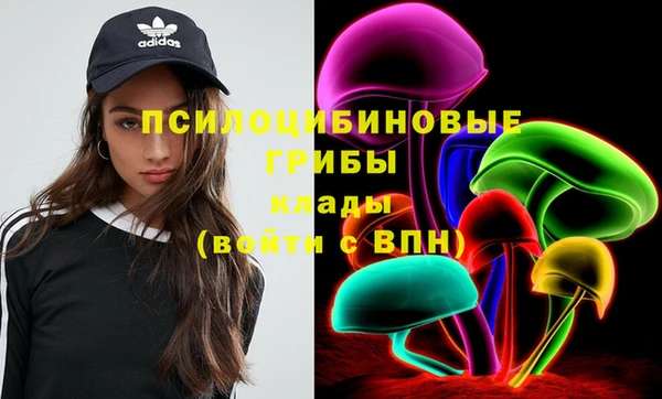 индика Арсеньев