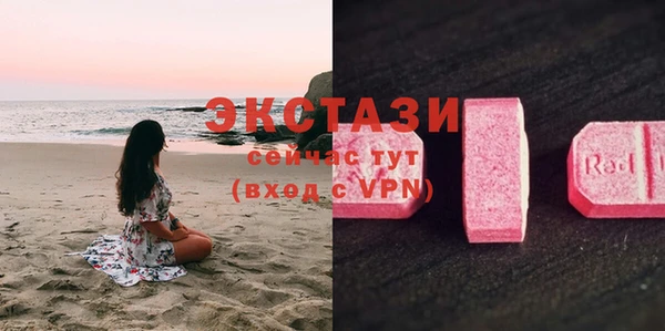 индика Арсеньев