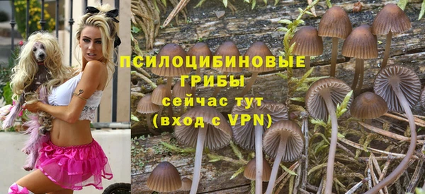 марки lsd Аркадак