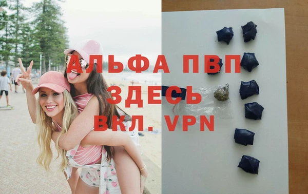 индика Арсеньев