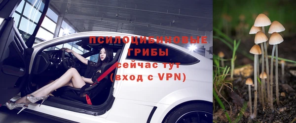 индика Арсеньев